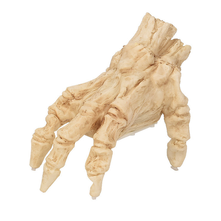 Halloween Crawling Zombie Hand with Lights & Sound
