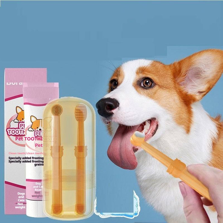 Pet Cleaning Care