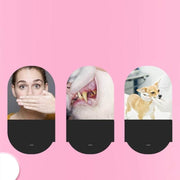 Pet Cleaning Care