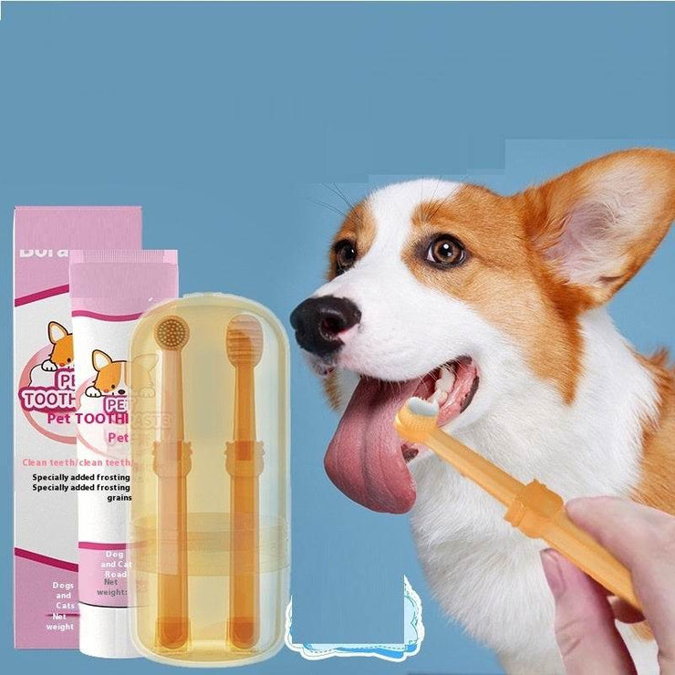 Pet Cleaning Care